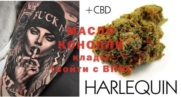 гашик Козловка