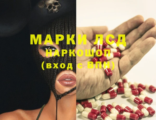 гашик Козловка