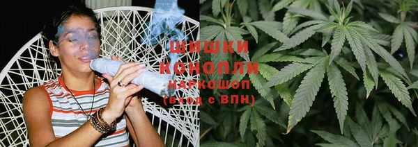 гашик Козловка