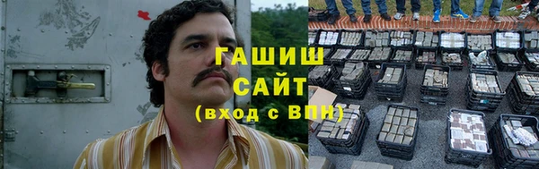 гашик Козловка