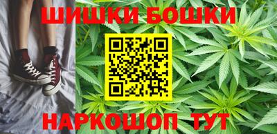 гидра Будённовск