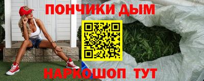 стаф Гай