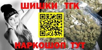 стаф Гай