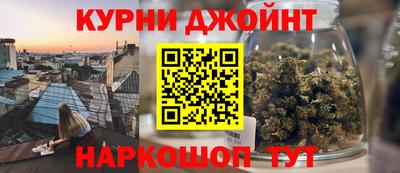 стаф Гай