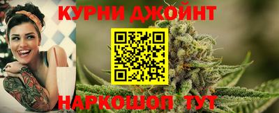 стаф Гай