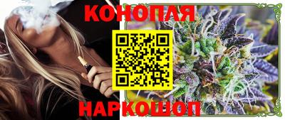 стаф Гай