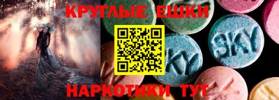 стаф Гай