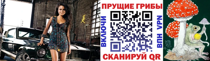 Галлюциногенные грибы Psilocybe  продажа наркотиков  Коркино 