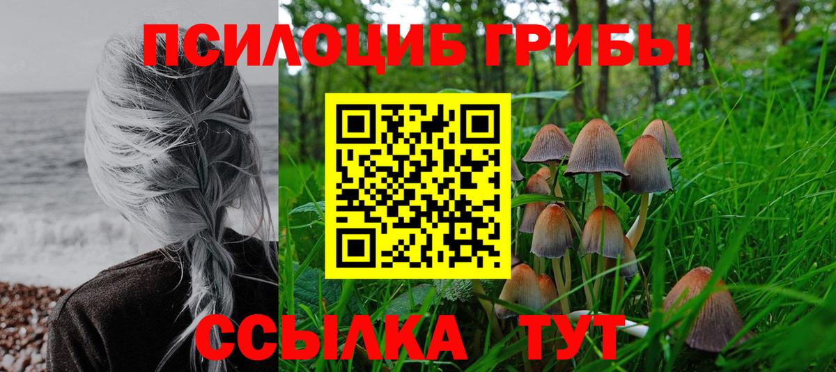 NBOMe  Molly  Коркино  Вход с VPN  Гашиш  Марихуана  COCAIN  Мефедрон  Где купить 